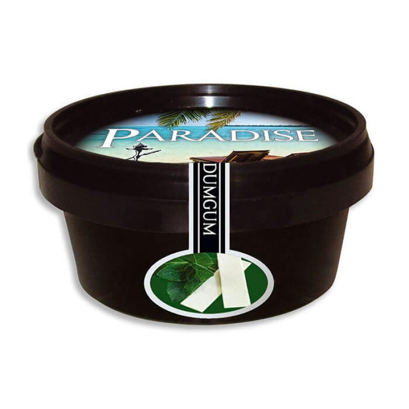 Paradise Dum Gum 100gr - Gum Mint - Shisha Smaak