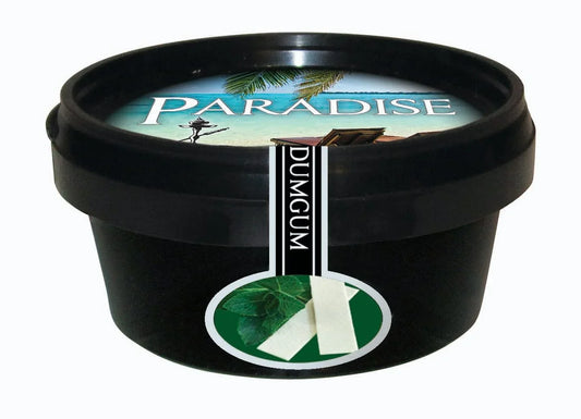 Paradise Dum Gum 100gr - Gum Mint - Shisha Smaak