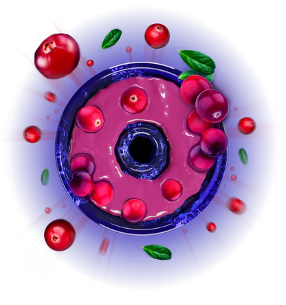 Space Smoke Cranberry Strike 125Gr - Shisha Smaak