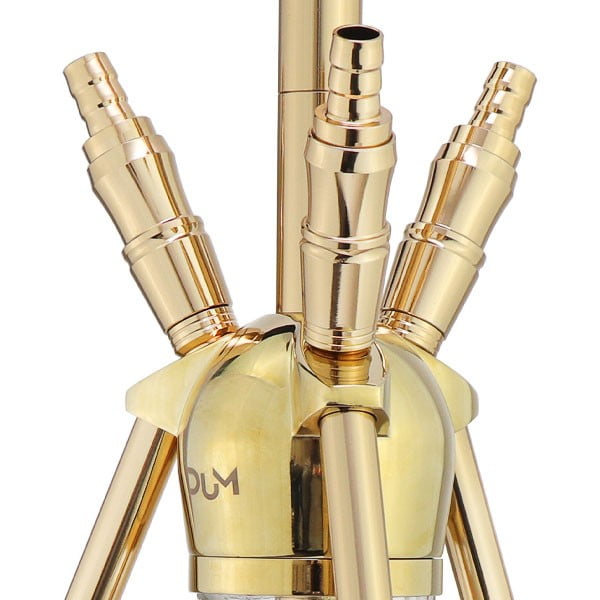 Dum Crazy Skull Gold - Shisha Smaak